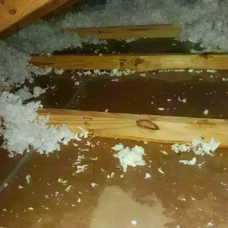 Attic Water Damage in Pineville, MO