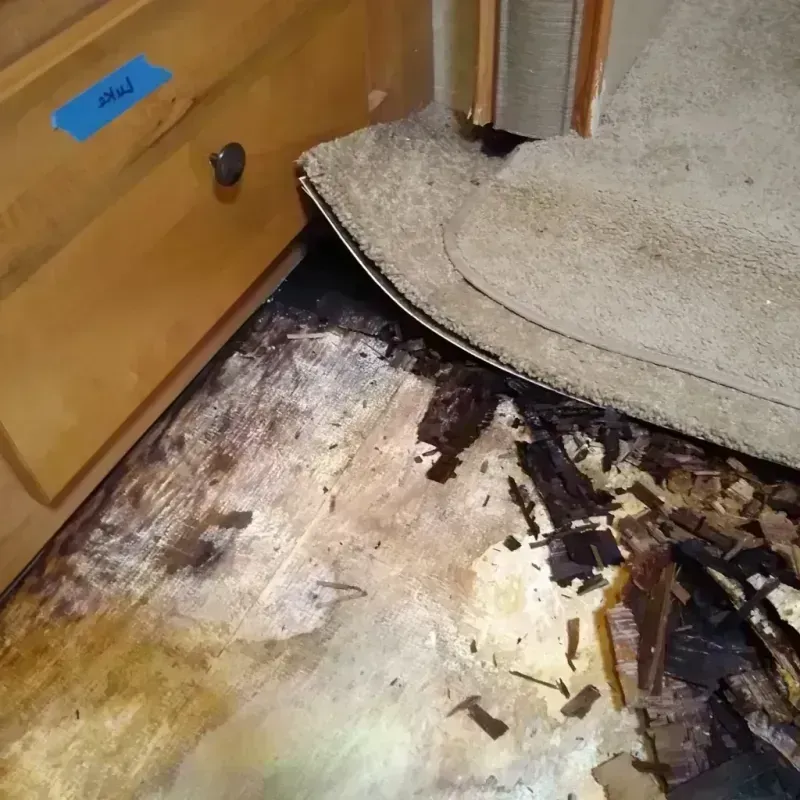 Best Wood Floor Water Damage Service in Pineville, MO